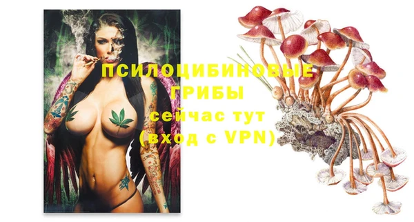 ALPHA-PVP Алексеевка