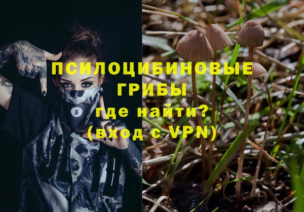 ГАЛЛЮЦИНОГЕННЫЕ ГРИБЫ Алексин