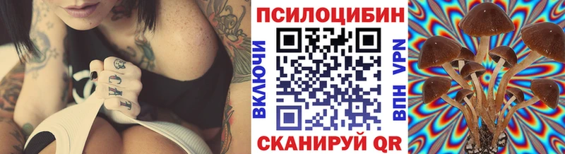 mega ССЫЛКА  Кондопога  сайты даркнета какой сайт  Галлюциногенные грибы ЛСД 