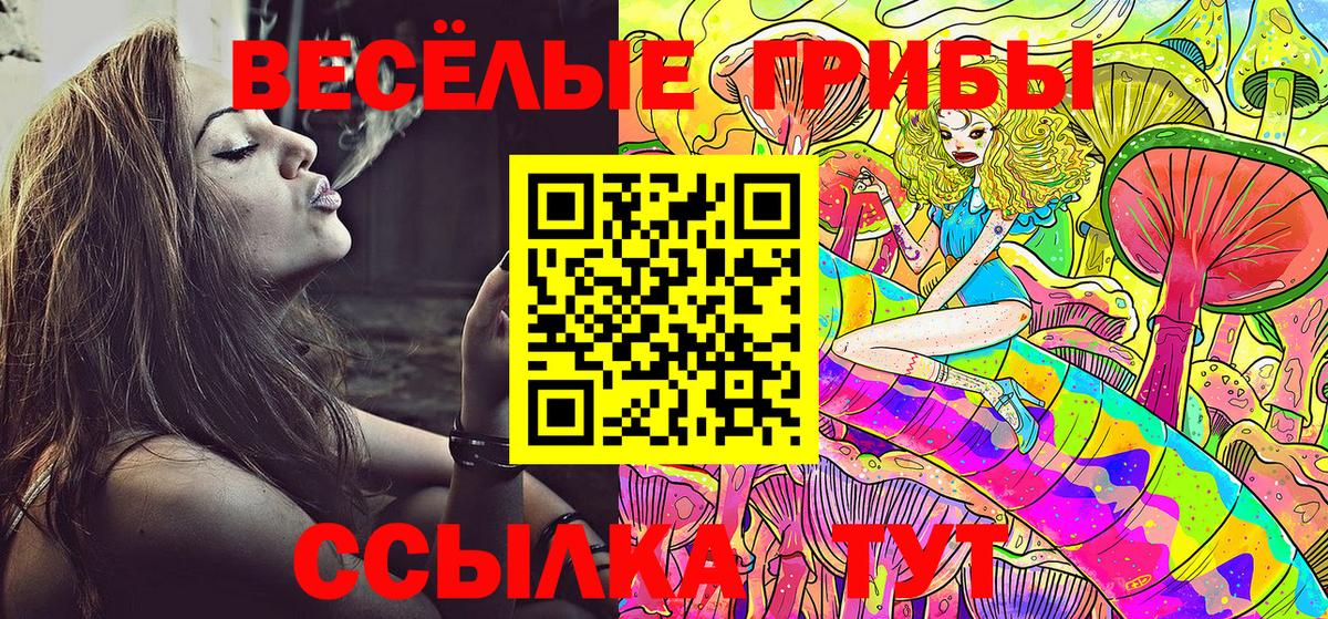 Кондопога  Галлюциногенные грибы GOLDEN TEACHER  Псилоцибиновые грибы мухоморы  Вход с VPN 